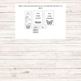 Lapbook da bruco a farfalla
