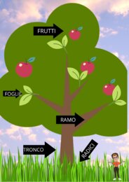 LE PARTI DELL'ALBERO