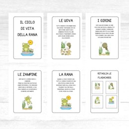 Ciclo di vita della rana - schede didattiche
