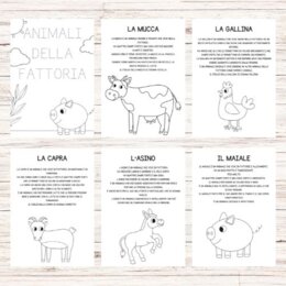 Schede didattiche sulla fattoria scuola dell'infanzia