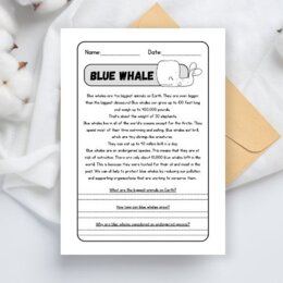 Lettura e comprensione in inglese sulle balene