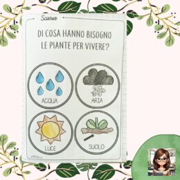 Di cosa hanno bisogno le piante per vivere?