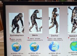 Gli ominidi (schema/lapbook)