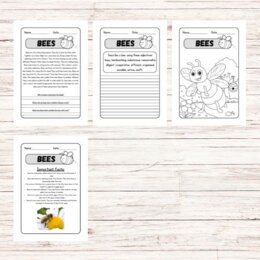 Lettura e comprensione in inglese – Bees