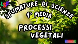 i Processi dei Vegetali_KIT MULTIMODALE SCIENZE 1°media_slide+ infografica+ mappa mentale+ disegno da colorare+VERIFICA LE COMPETENZE+OMAGGIO:VIDEO&PODCAST
