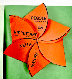 🌿 Ecologia Lapbook