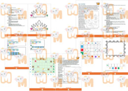 Manuale Coding più licenza Stella