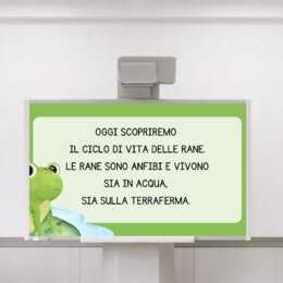 Ciclo di vita della rana