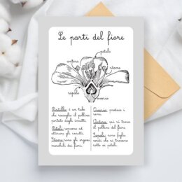Schede didattiche sui fiori