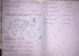 Dentro e fuori il recinto