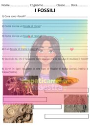 Mini-verifica sui fossili 🦴🪏
