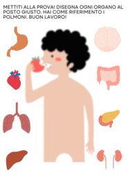 Il sistema digestivo spiegato con le immagini