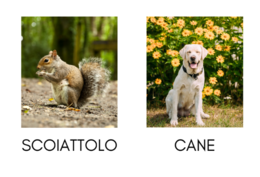 LIBRO DEGLI ANIMALI