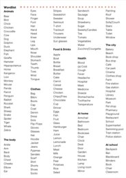 Flashcards