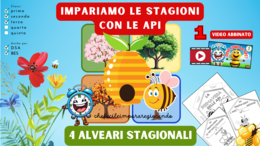 LE STAGIONI - LE API - COSTRUISCO 4 ALVEARI - 1 VIDEO EDUCATIVO