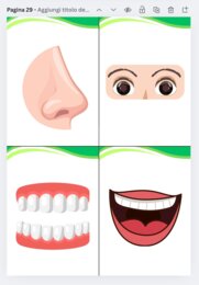 Flashcards