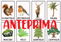 Flashcards animali e ambienti/ecosistemi