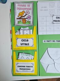 🌸 Lapbook sulla Primavera