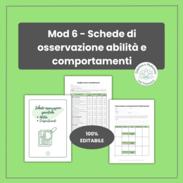 Modulo 6: Schede di Osservazione Specifiche per Abilità e Comportamenti | Registro Sostegno Editabile