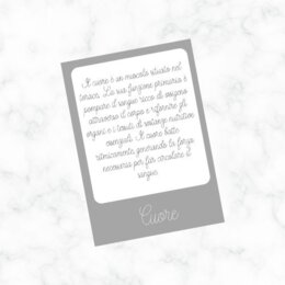 Flashcard parti del corpo