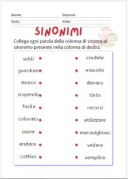 I SINONIMI