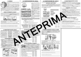 SCIENZE: IL SUOLO / TERRENO PER LA CLASSE TERZA - SCUOLA PRIMARIA