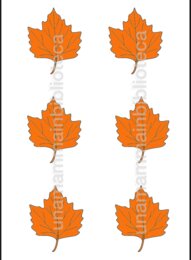 Foglie d' Autunno