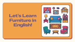 Furniture