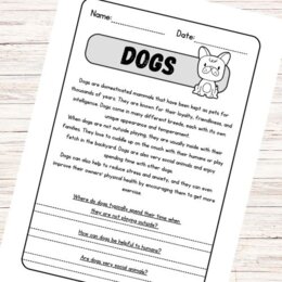 Lettura e comprensione in inglese - Dogs