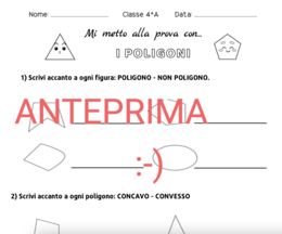 VERIFICA SUI POLIGONI