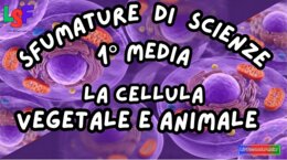 Cellula vegetale e Animale_KIT MULTIMODALE SCIENZE 1°media_slide+ infografica+ mappa mentale+ disegno da colorare+VERIFICA LE COMPETENZE+OMAGGIO:VIDEO&PODCAST