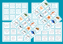 Present Simple / Gioco linguistico di traduzione – Animali marini (Inglese–Italiano)