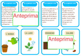 Il risveglio di un seme - Carte scientifiche Montessori e piccolo libro- classi 1-5