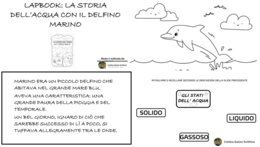 LAPBOOK SULL'ACQUA IN COMPAGNIA DEL DELFINO MARINO