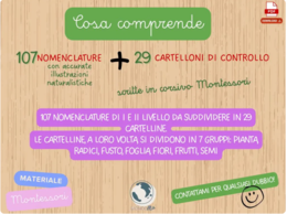 Botanica Montessori | 107 Nomenclature + 29 Cartelloni di Controllo PDF | Botany Nomenclature| pianta radici fusto foglia frutto semi