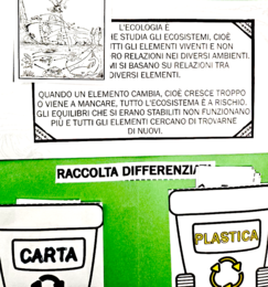 🌿 Ecologia Lapbook