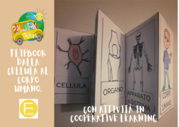 FLIPBOOK - DALLA CELLULA AL CORPO UMANO