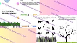 Le foreste e gli alberi: pacchetto interdisciplinare giornate speciali