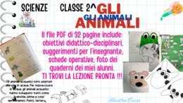 Kit Scienze Classe 2ª – Gli Animali (Parte 2): Habitat, Alimentazione e Movimen