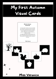 My first Autumn visual cards