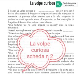 La volpe curiosa scheda n 2