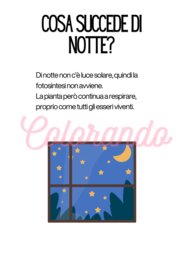 Alla scoperta delle piante – Schede didattiche sulla fotosintesi e la riproduzione vegetale per la scuola primaria terza e quarta