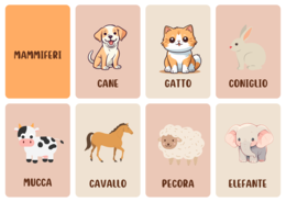 Flashcard animali