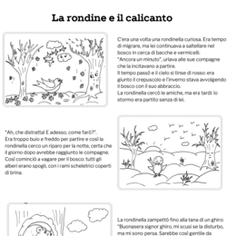 La rondine e il calicanto - leggenda