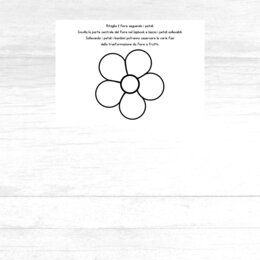 Lapbook da fiore a frutto