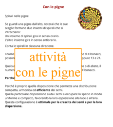 Fibonacci, matematico della natura; dall'osservazione alla costruzione dell'albero di Fibonacci-classi III/V