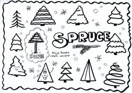 not only CHRISTMAS TREE ;)