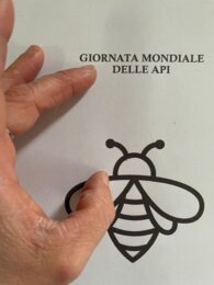GIORNATA MONDIALE DELLE API