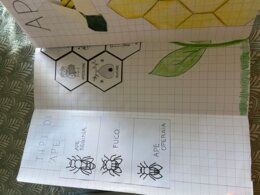 Percorso Didattico Completo: Il Mondo delle Api (Scienze, Arte, Coding & Pixel Art)
