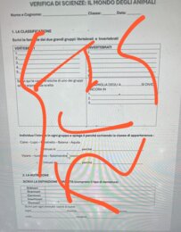 verifica animali classe terza